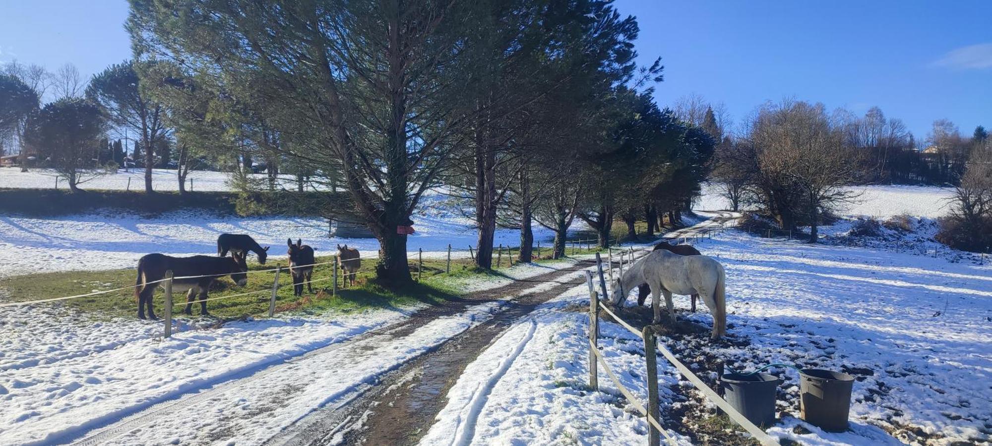 Domaine Le Lanis "Cabane De Pauline" Saint-Girons  Εξωτερικό φωτογραφία